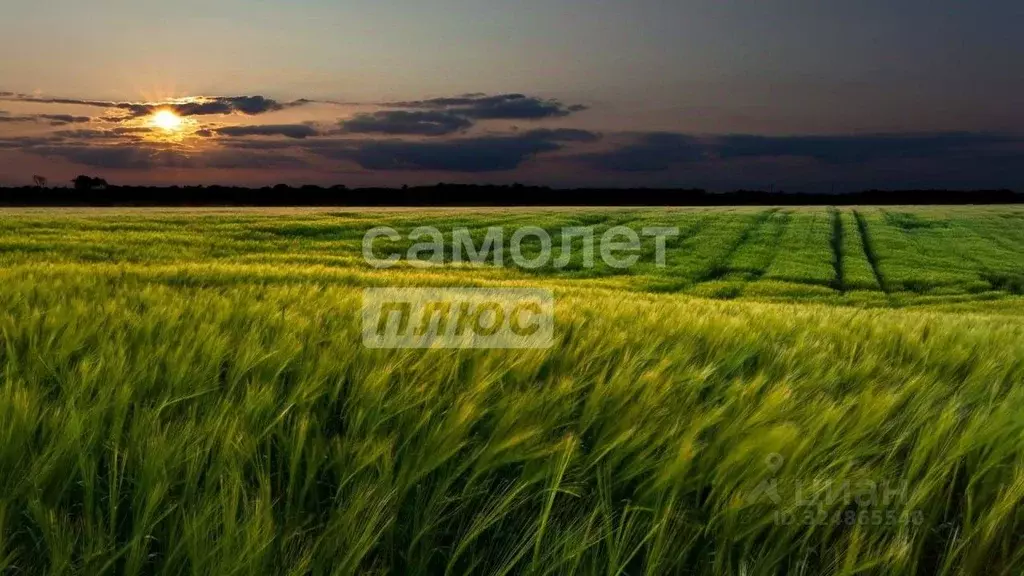 Участок в Коми, Сыктывдинский район, Шошка муниципальное образование, ... - Фото 1