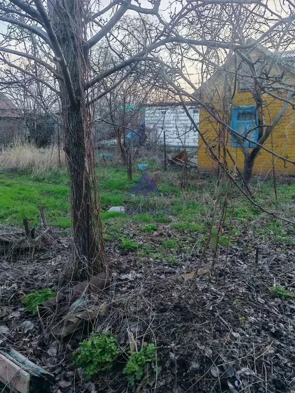 Дом в Ростовская область, Волгодонск Строитель СНТ, 6 массив,  (12 м) - Фото 2