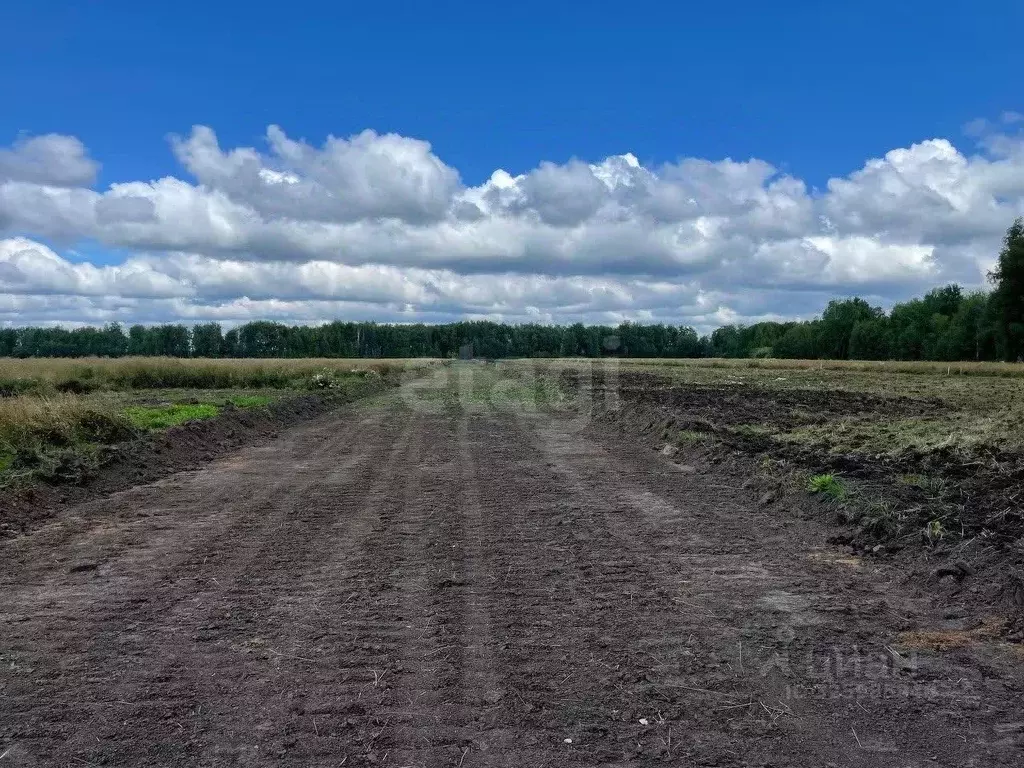 Участок в Тюменская область, Тюмень  (7.84 сот.) - Фото 1