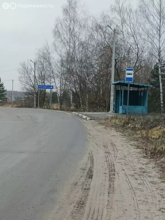 Участок в Московская область, муниципальный округ Егорьевск, деревня ... - Фото 1