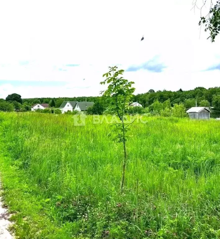 Участок в Калужская область, Боровский район, Асеньевское с/пос, д. ... - Фото 2