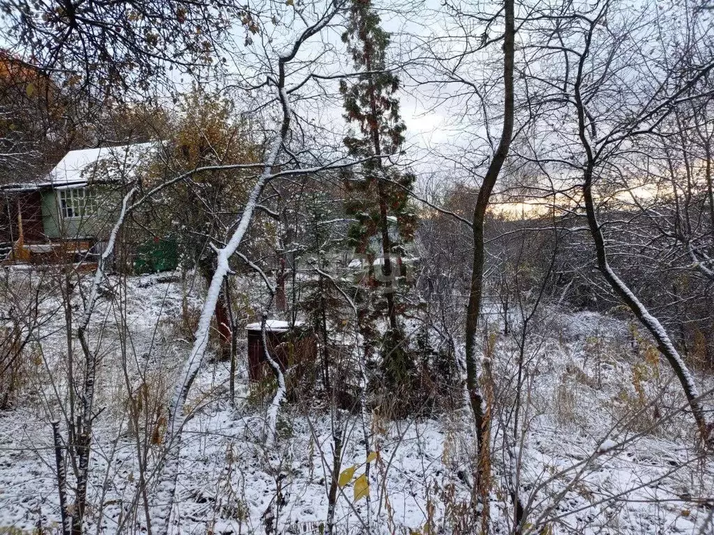 Участок в Нижегородская область, Нижний Новгород Маяк садовое ... - Фото 1