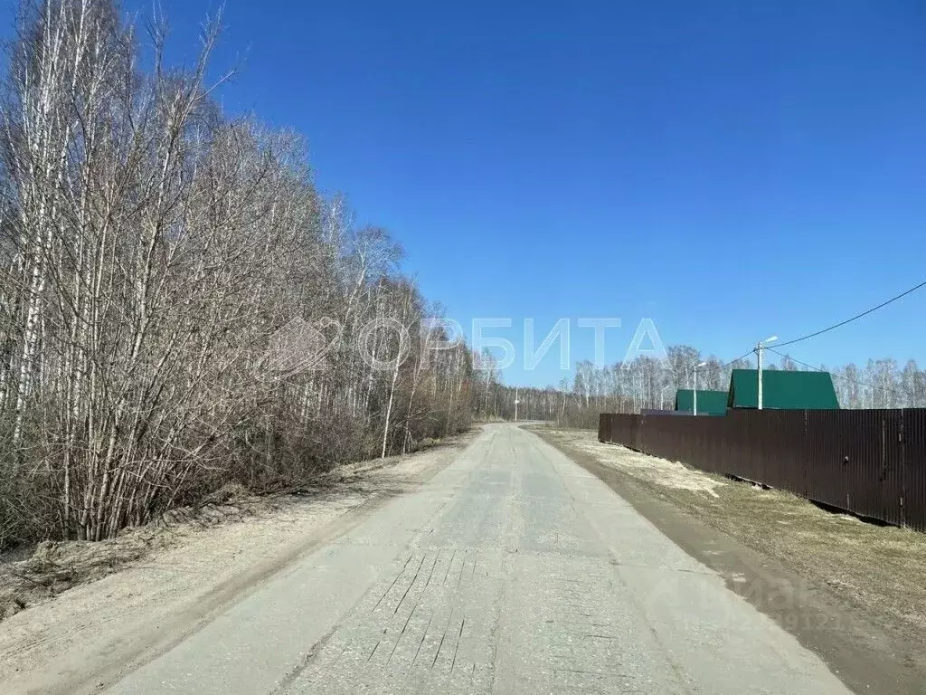 Участок в Тюменская область, Нижнетавдинский район, с. Тюнево  (13.0 ... - Фото 1