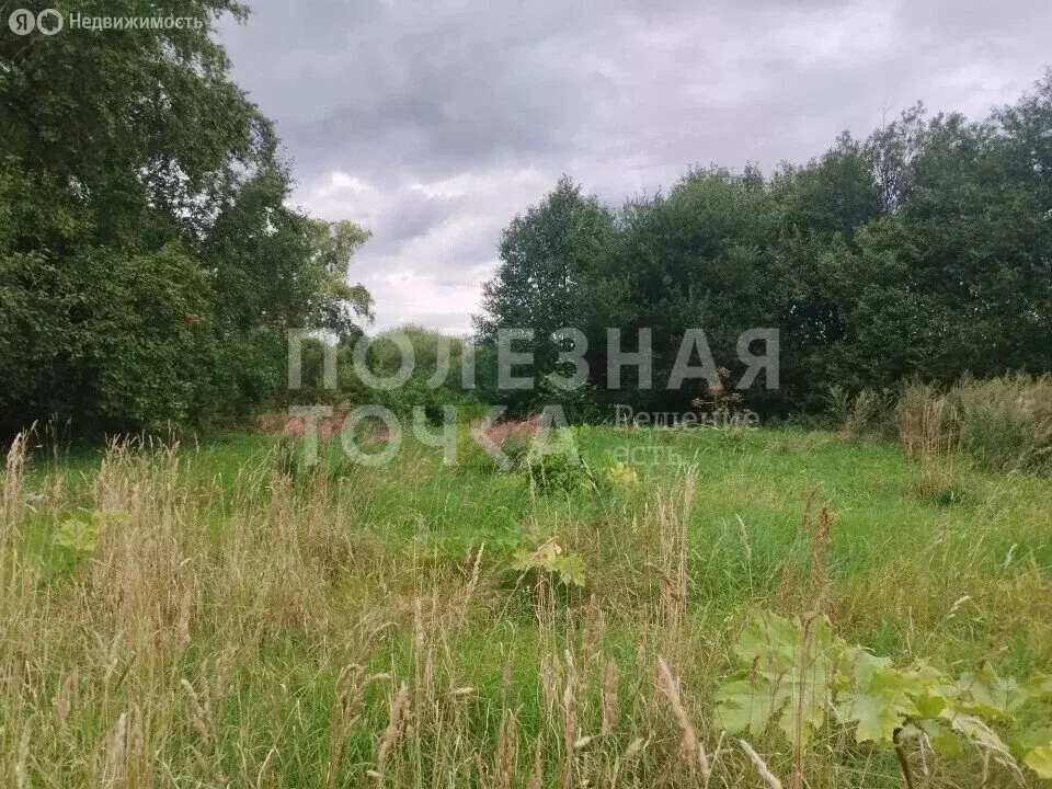 Участок в Боровичи, микрорайон Мстинский (16 м) - Фото 1