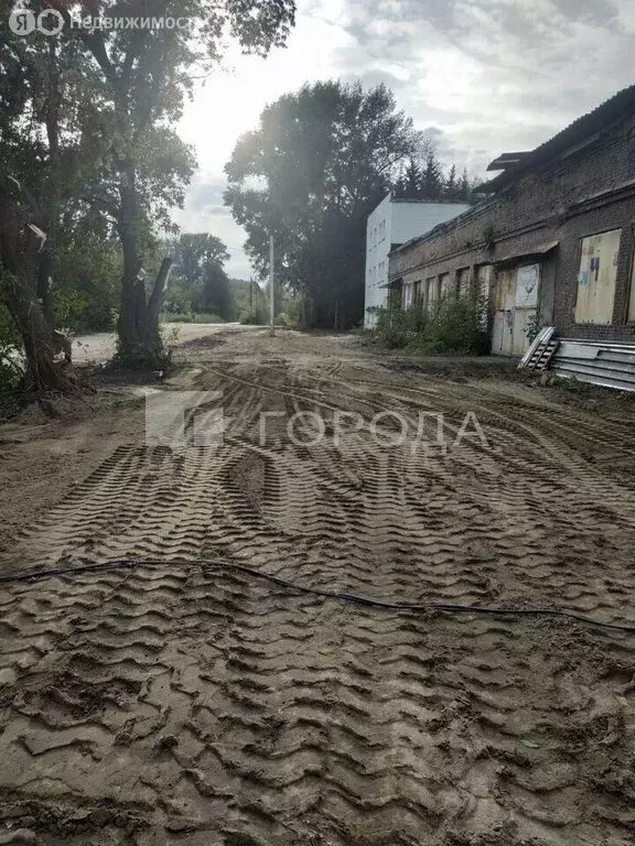 Участок в Новосибирск, Станционная улица, 38 (30 м) - Фото 1