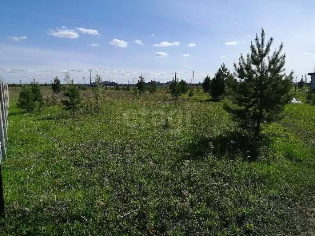 Участок в Тюменская область, Тюменский муниципальный округ, д. Елань, ... - Фото 1