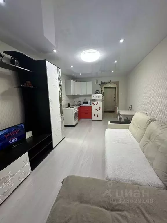 Студия Кировская область, Киров Заводская ул., 6к1 (23.0 м) - Фото 1