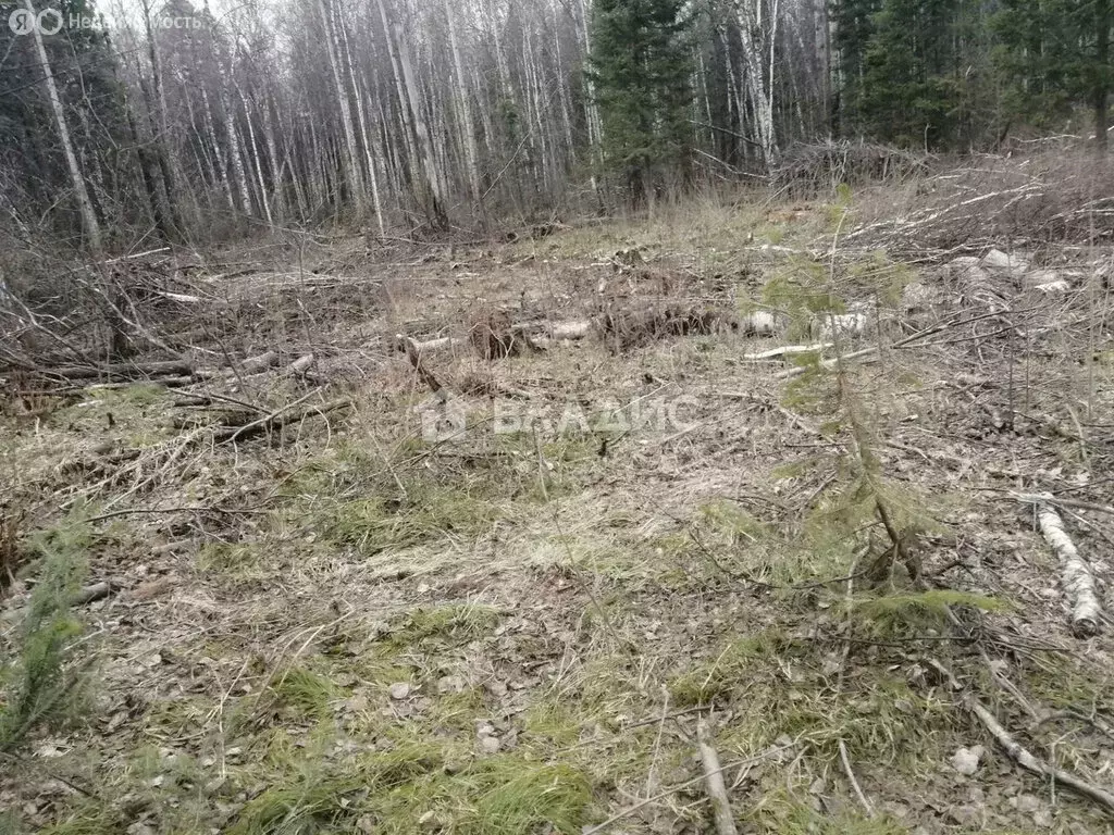 Участок в Тобольск, Тополиная улица (11 м) - Фото 2