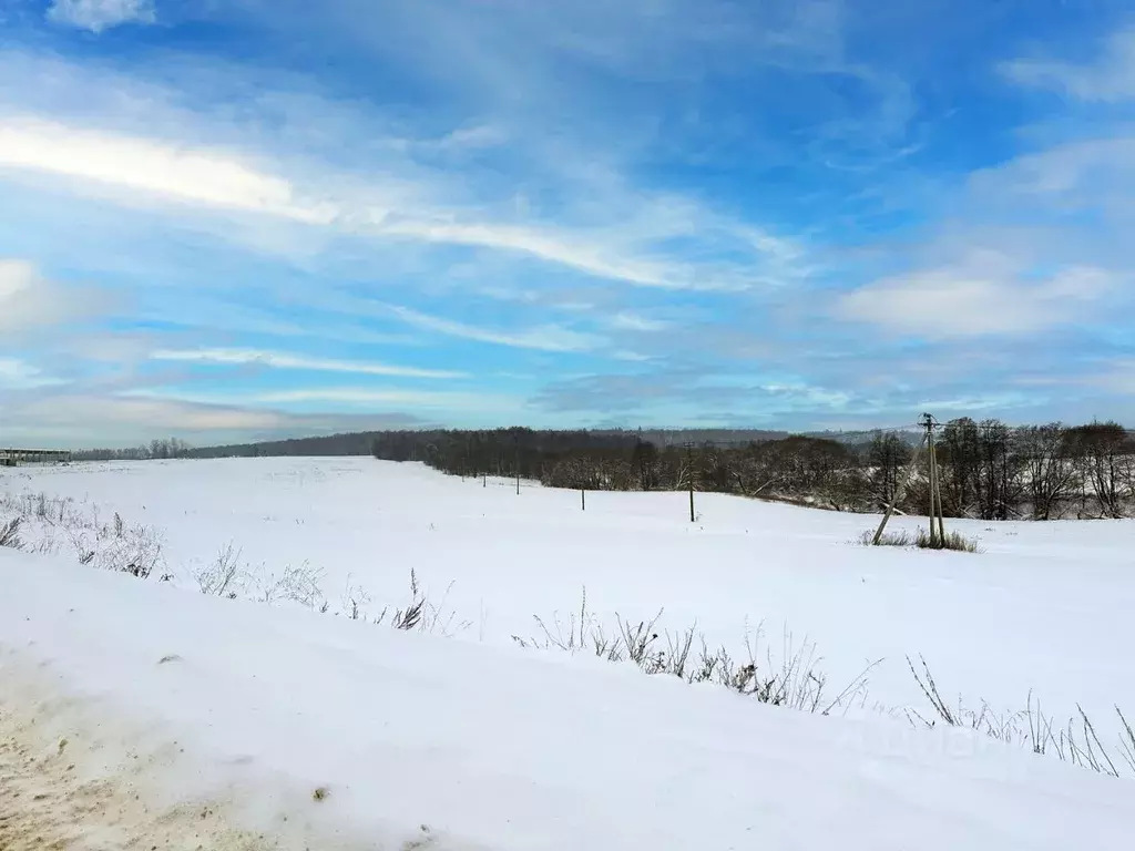 Участок в Московская область, Домодедово городской округ, пос. ... - Фото 2