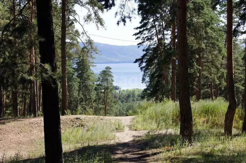 2-к кв. Самарская область, Тольятти Парус СНТ, ул. Набережная, 166 ... - Фото 1