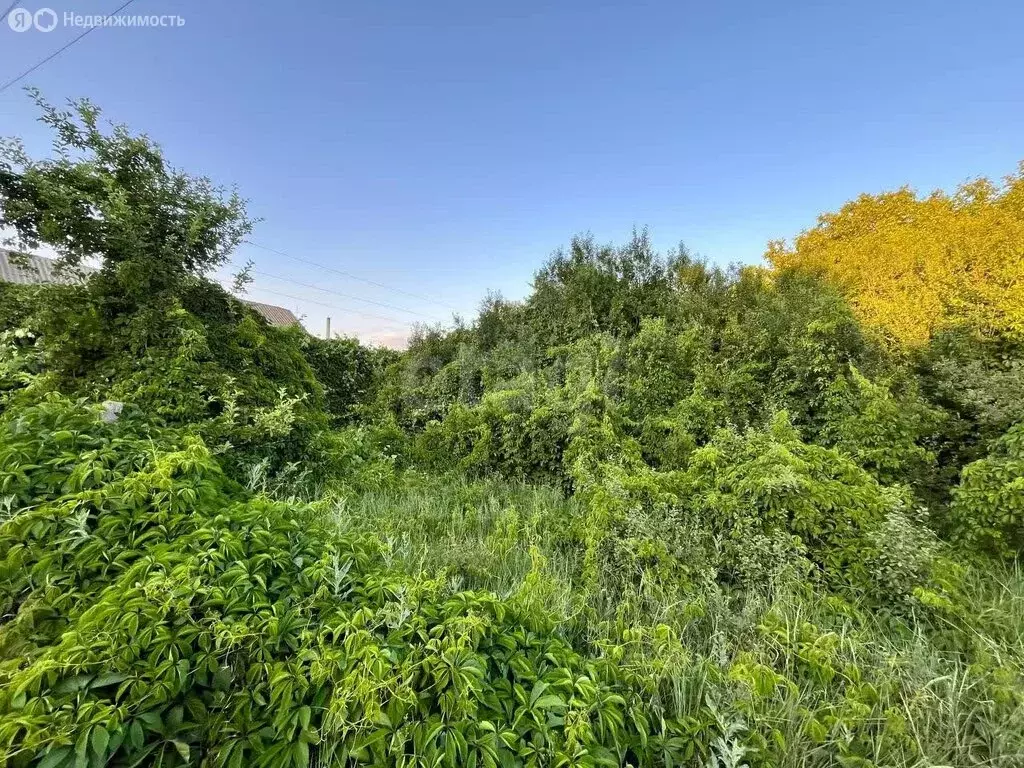 Участок в село Доброе, Пятихатская улица (6 м) - Фото 1