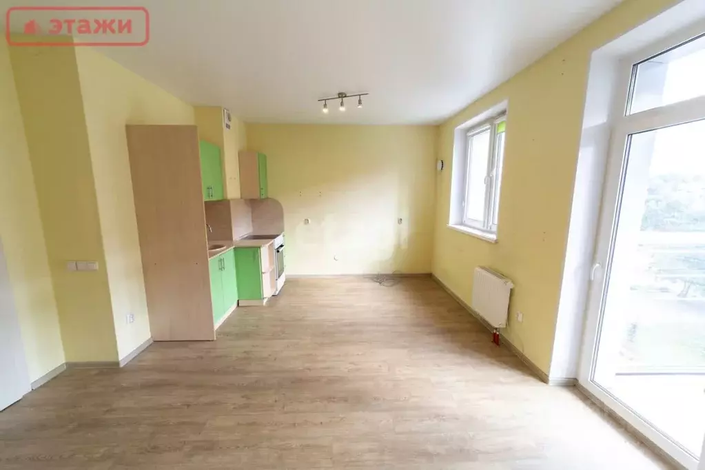 Студия Карелия, Петрозаводск наб. Варкауса, 37 (28.3 м) - Фото 1