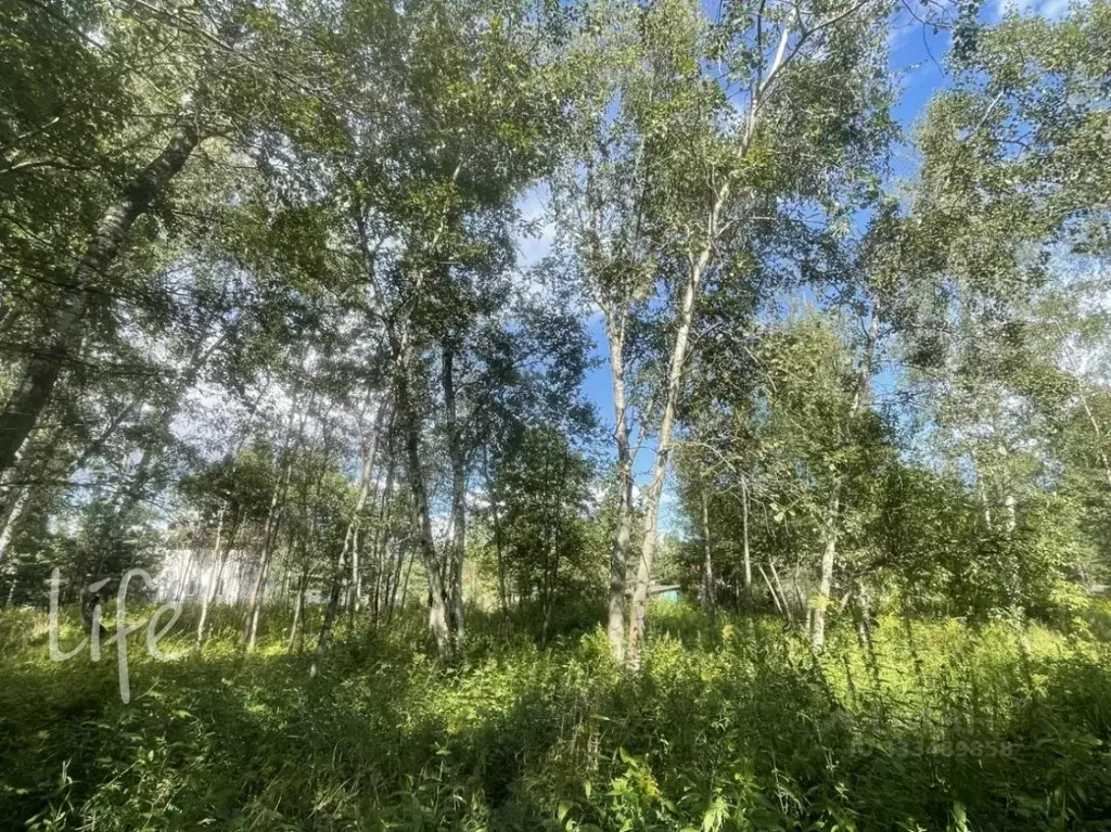 Участок в Московская область, Одинцовский городской округ, Серебряные ... - Фото 1