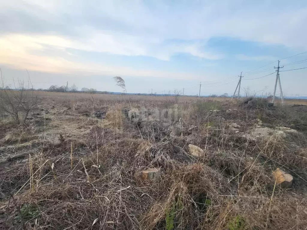 Участок в Приморский край, Надеждинский район, с. Вольно-Надеждинское ... - Фото 1