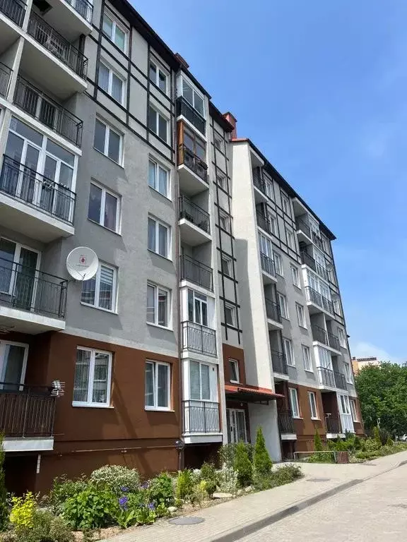 1-к кв. Калининградская область, Светлогорск Тихая ул., 8 (24.0 м) - Фото 0