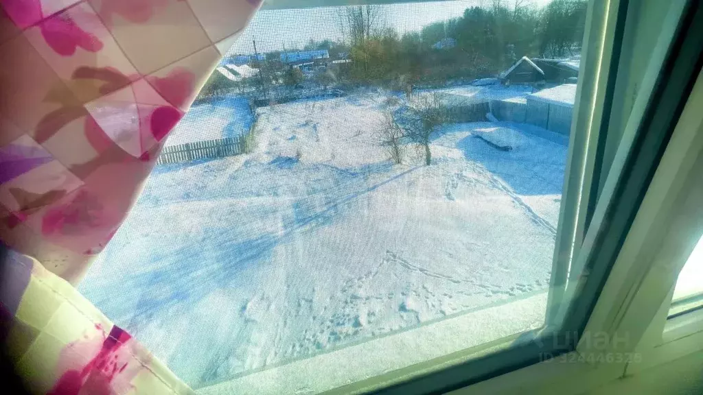 3-к кв. Псковская область, Островская волость, д. Городище ул. ... - Фото 2