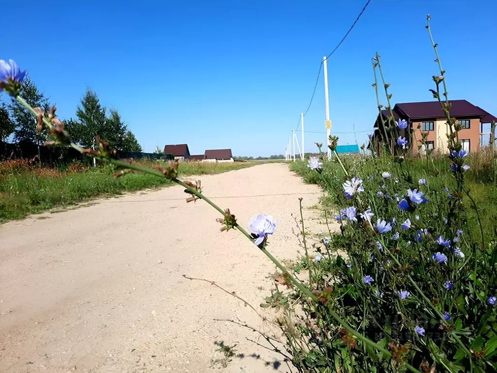 Участок в Новосибирская область, Новосибирский район, Толмачевский ... - Фото 1