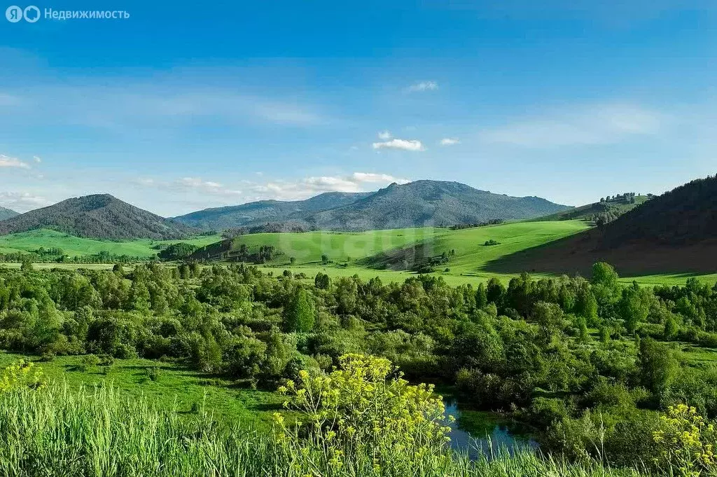 Участок в Туманово, Советская улица (12920 м) - Фото 1