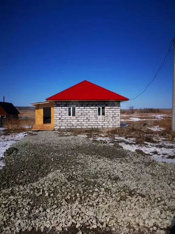 Дом в Новосибирская область, Коченево рп ул. Береговая, 101 (77 м) - Фото 1