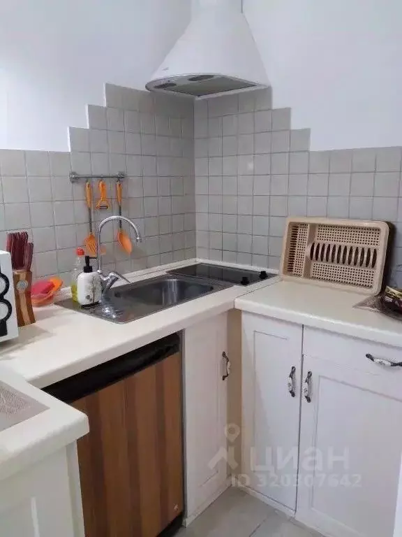 1-к кв. Ивановская область, Плес Приволжский район, Советская ул., 19 ... - Фото 2