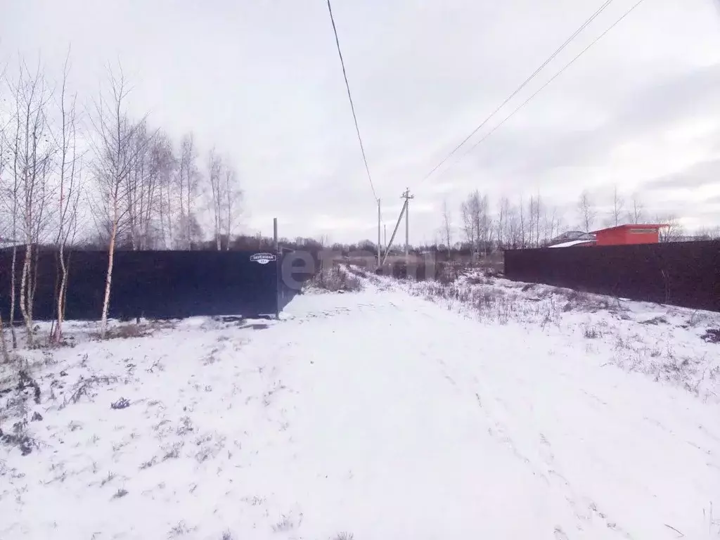 Участок в Московская область, Коломна городской округ, д. Негомож ул. ... - Фото 1