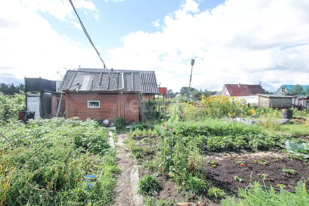 Купить Дачу В Октябрьском Районе Исо