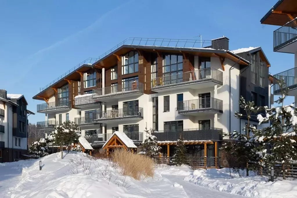 3-к кв. Московская область, Истра муниципальный округ, с. Павловская ... - Фото 2