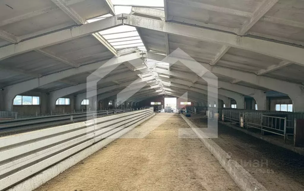 Помещение свободного назначения в Московская область, Талдомский ... - Фото 2