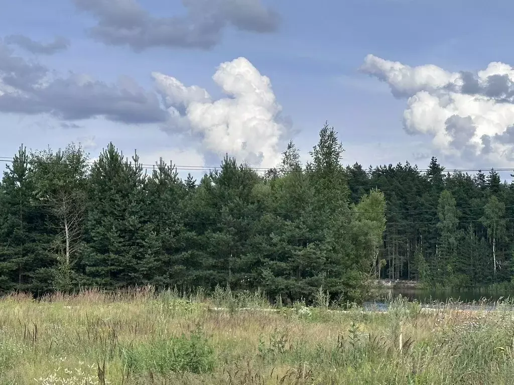 Участок в Московская область, Балашиха СНТ Заря тер.,  (10.0 сот.) - Фото 1
