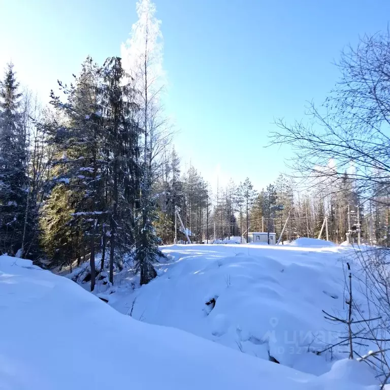 Участок в Ленинградская область, Всеволожск Изумрудный лес кп,  (6.81 ... - Фото 1
