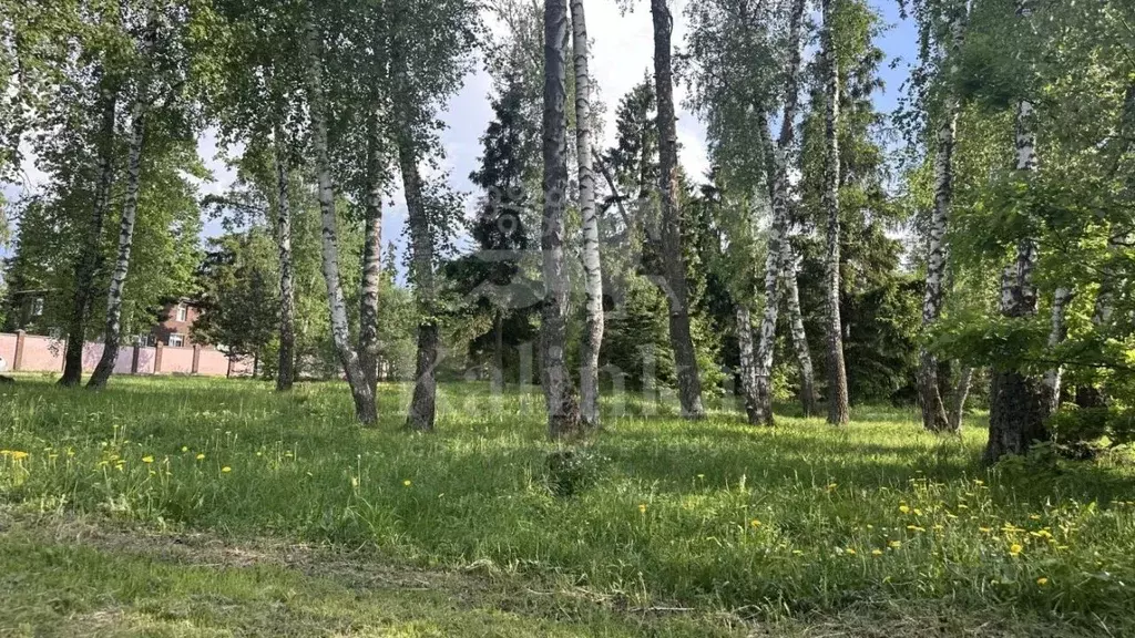 Участок в Московская область, Одинцовский городской округ, д. Шульгино ... - Фото 2