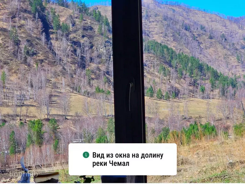 Участок в Алтай, Чемальский район, с. Уожан Заречная ул. (100.0 сот.) - Фото 2