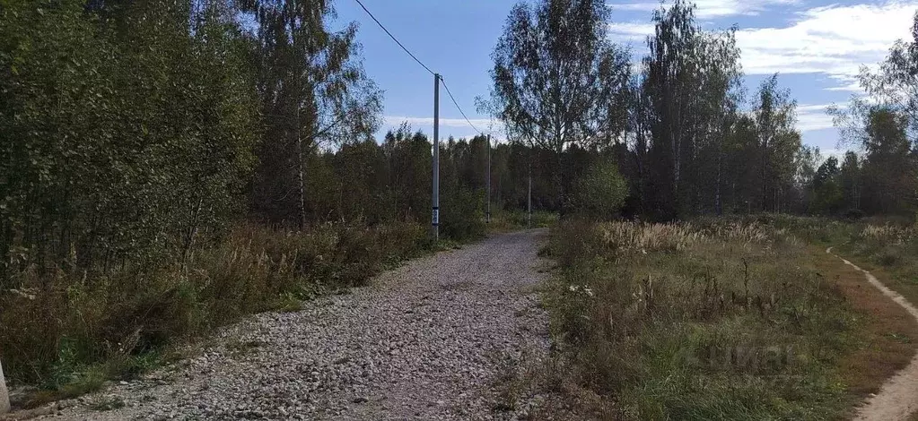 Участок в Московская область, Щелково городской округ, ТСН Здеховский ... - Фото 1