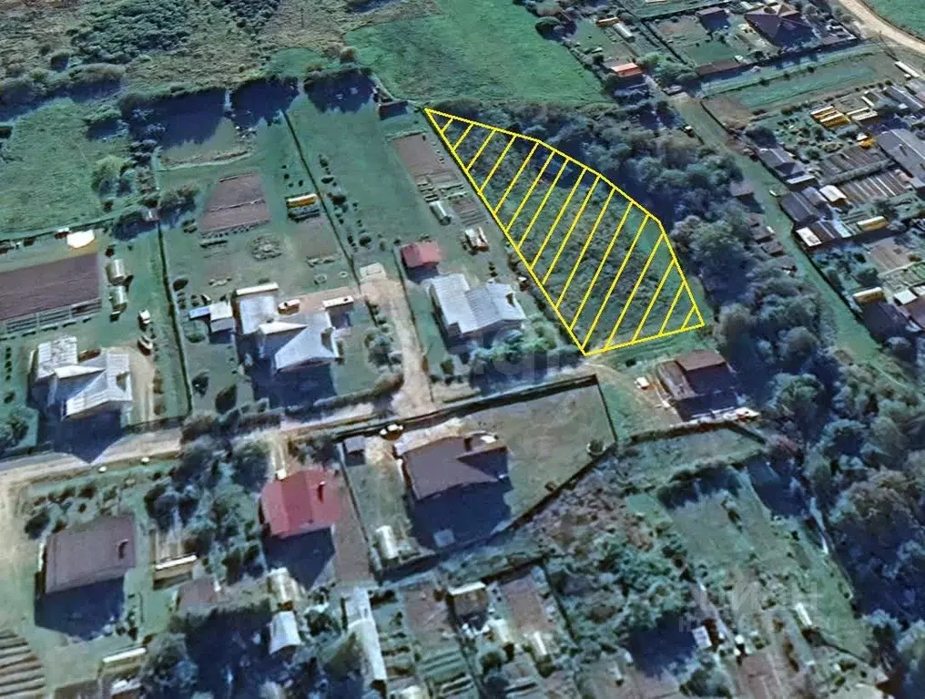 Участок в Вологодская область, д. Ильинское (Октябрьский сельсовет)  ... - Фото 1