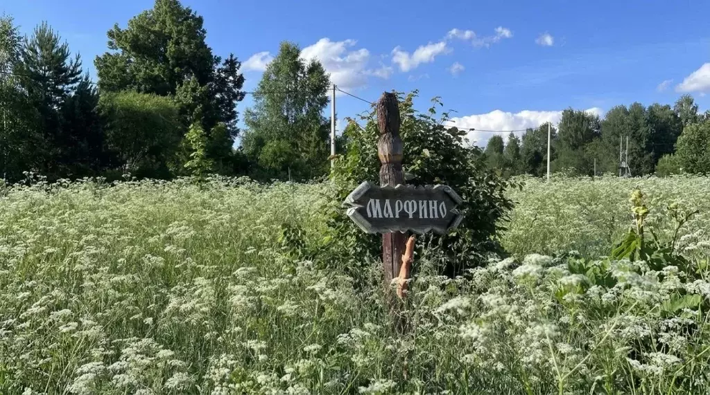 Участок в Московская область, Клин городской округ, д. Марфино ул. ... - Фото 2