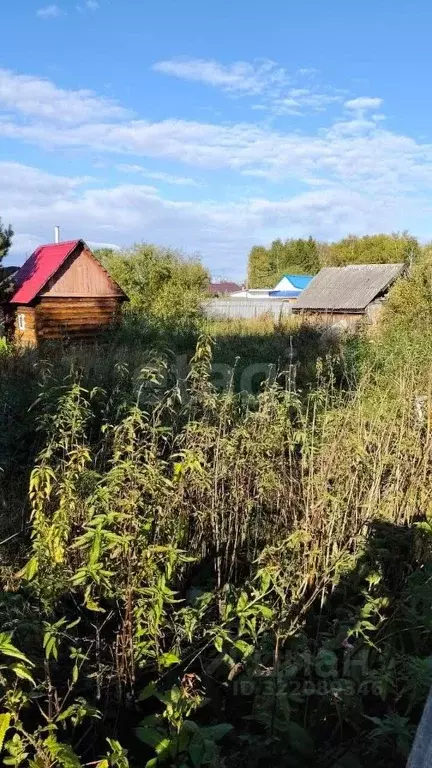 Участок в Тюменская область, Тюмень Огонек СНТ, ул. Малиновая, 48 ... - Фото 1