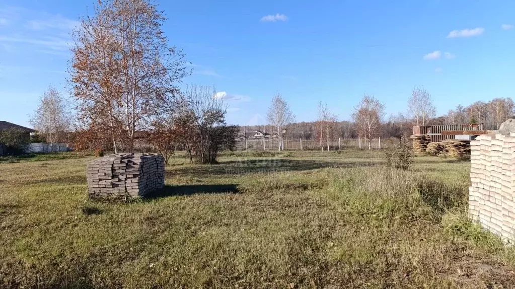 Участок в Красноярский край, Емельяновский муниципальный округ, пос. ... - Фото 1