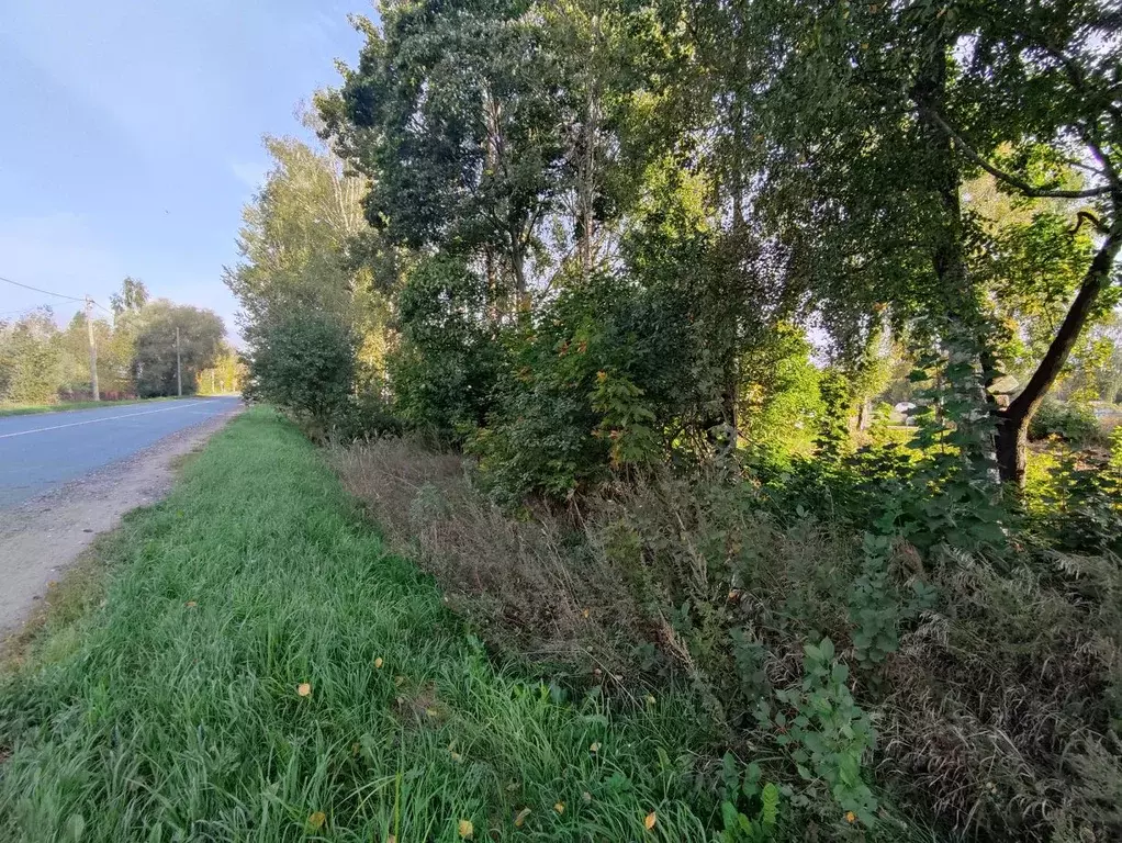 Участок в Новгородская область, Новгородский район, д. Слутка  (15.0 ... - Фото 2