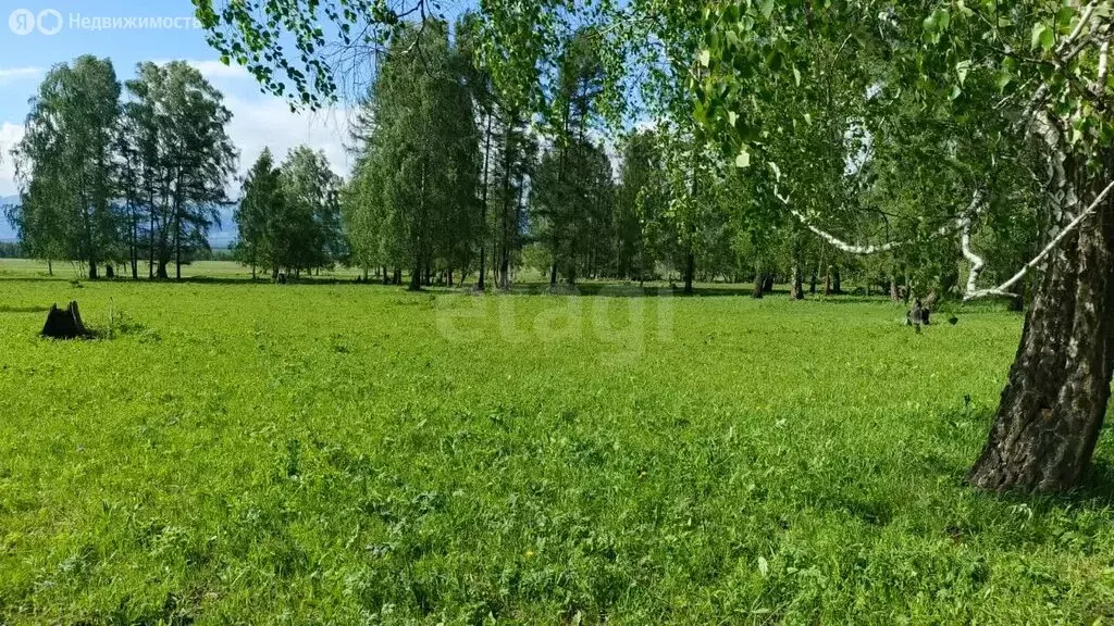 Участок в Усть-Коксинский район, село Мульта (60000 м) - Фото 2