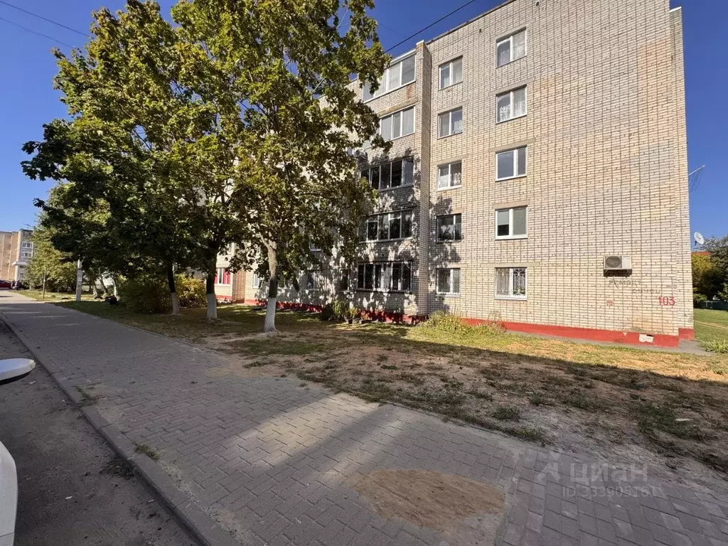3-к кв. Брянская область, Клинцы Союзная ул., 103 (65.5 м) - Фото 1