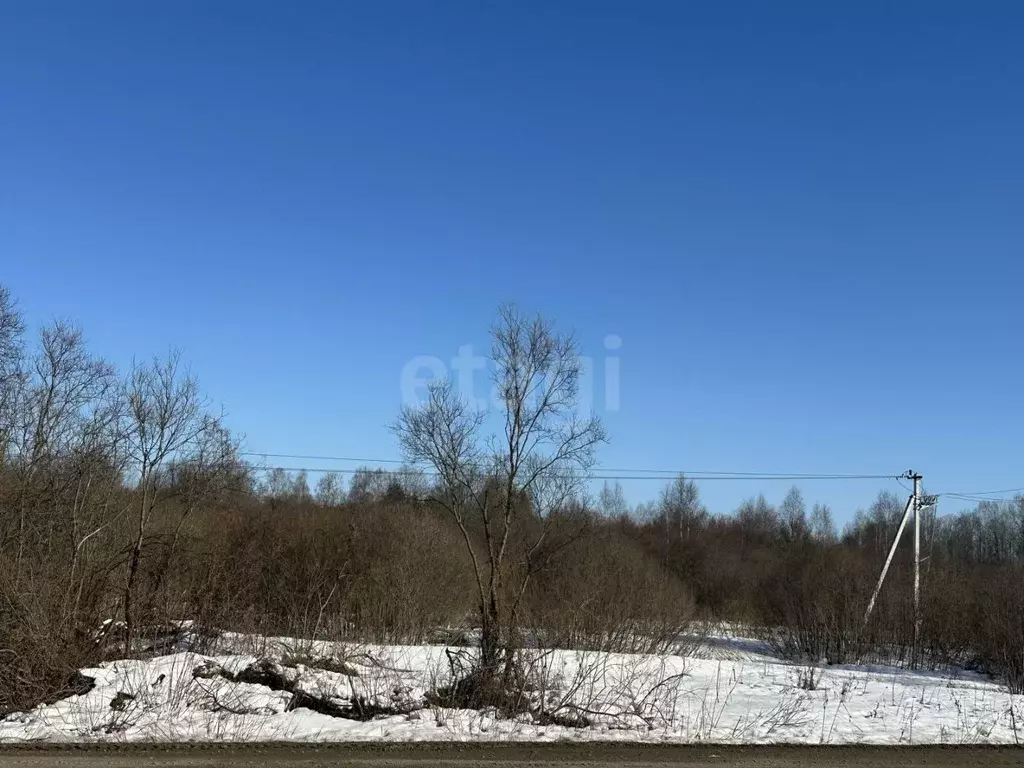 Участок в Ярославская область, Ярославский муниципальный округ, ... - Фото 2