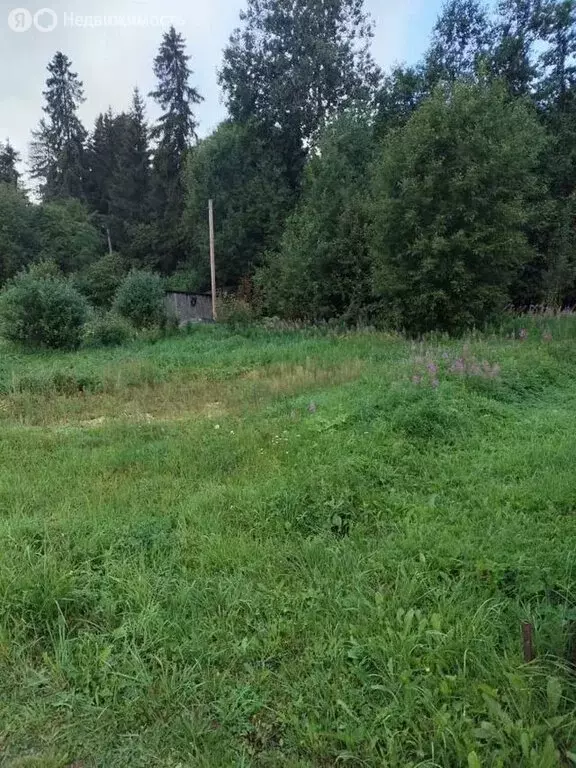 Участок в Волосовский район, Бегуницкое сельское поселение, садовое ... - Фото 2