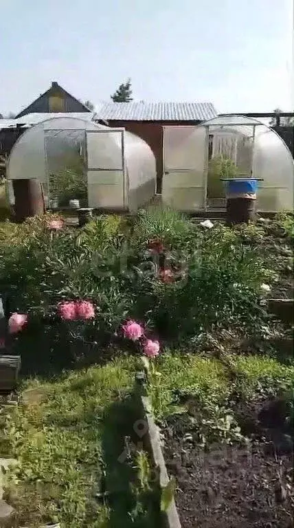 Дом в Иркутская область, Иркутск Восток СНТ, ул. 1-я Ушаковская, 40 ... - Фото 0