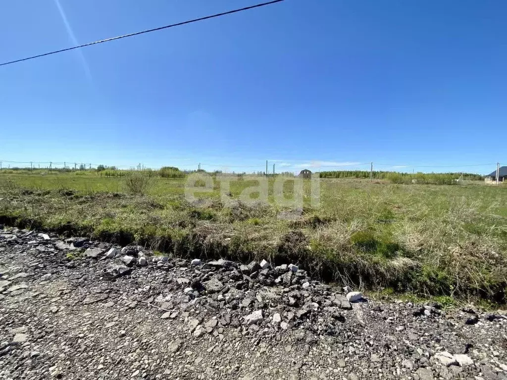 Участок в Костромская область, Кострома ул. Валентина Зайцева (10.0 ... - Фото 1