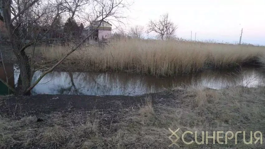 Участок в Ростовская область, Азовский район, Елизаветинское с/пос, ... - Фото 2