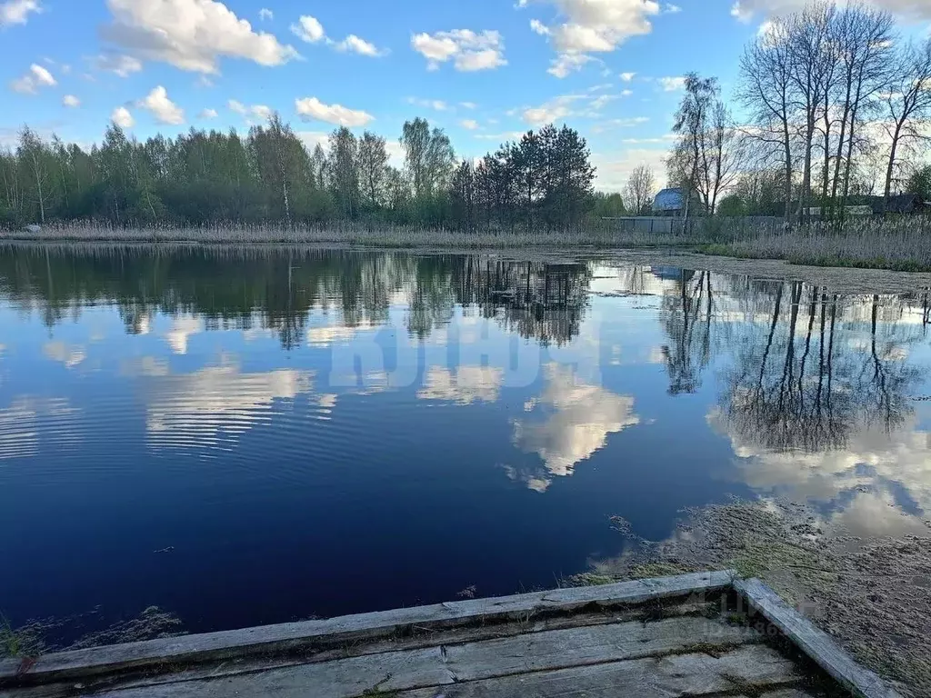 Участок в Вологодская область, Сокольский муниципальный округ, д. ... - Фото 1