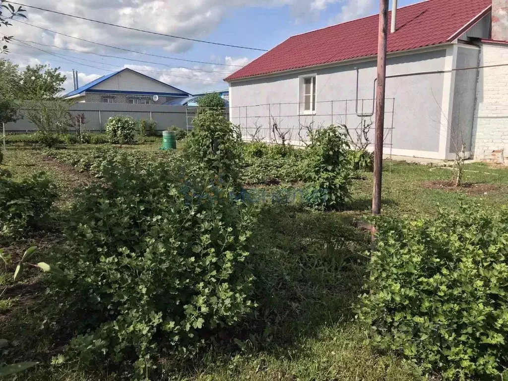 Дом в Нижегородская область, Княгининский муниципальный округ, с. ... - Фото 1