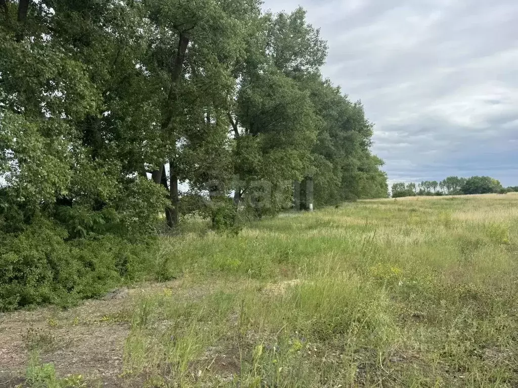 Участок в Белгородская область, Белгородский муниципальный округ, с. ... - Фото 1