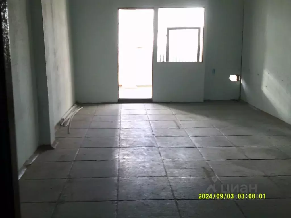 Помещение свободного назначения в Новосибирская область, Новосибирск ... - Фото 0