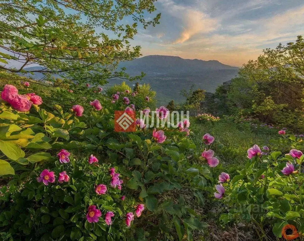 Участок в Крым, Бахчисарайский район, Скалистовское с/пос, с. ... - Фото 2